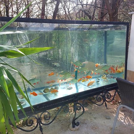 Gaestehaus Coco Кремс на Дунае Экстерьер фото